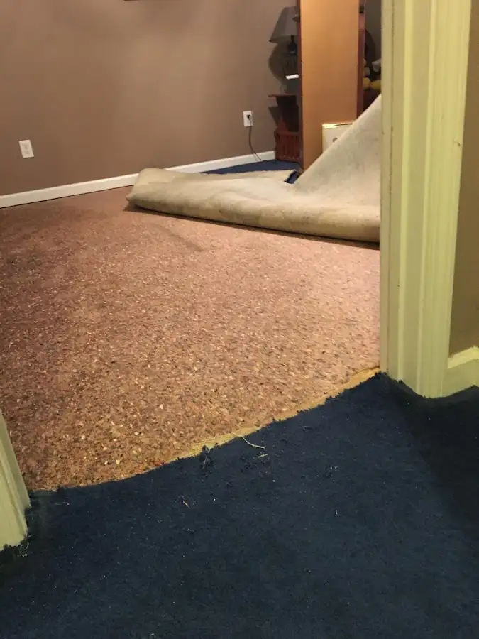Carpet pad removal revealing water damage during Drying & Dehumidification in Roselle